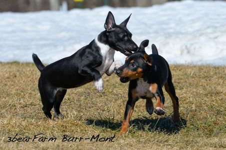 Enlarge photo 164