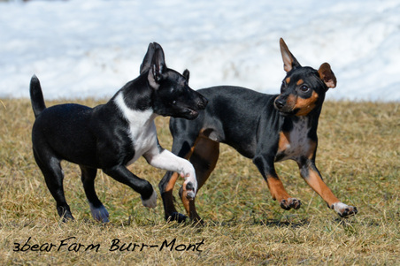 Enlarge photo 165
