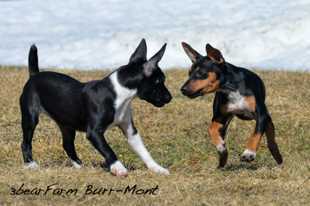 Enlarge photo 163