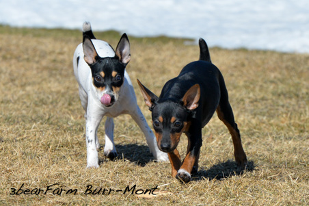 Enlarge photo 162
