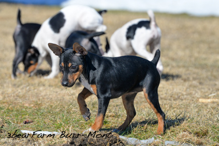 Enlarge photo 157