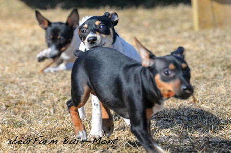 Enlarge photo 150