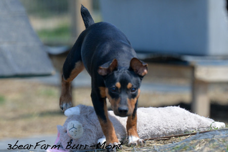 Enlarge photo 113