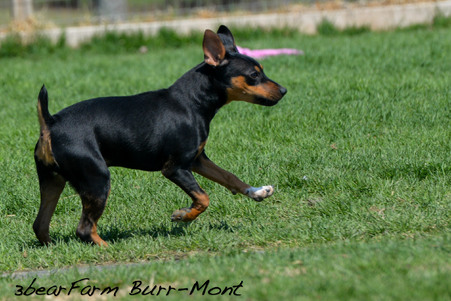 Enlarge photo 117