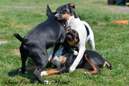 Enlarge photo 120