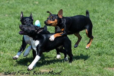 Enlarge photo 121