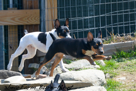 Enlarge photo 140