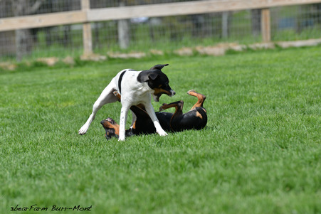 Enlarge photo 236