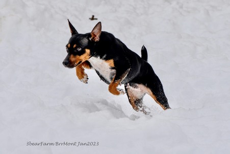 Enlarge photo 17