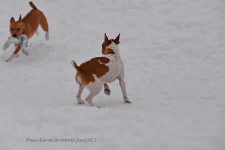 Enlarge photo 439