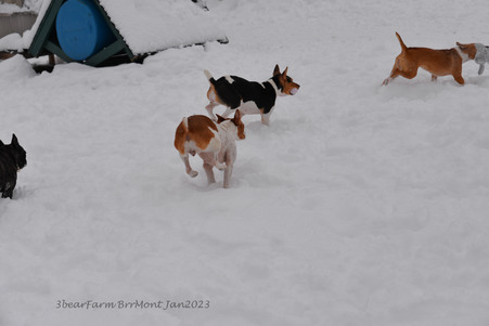 Enlarge photo 436
