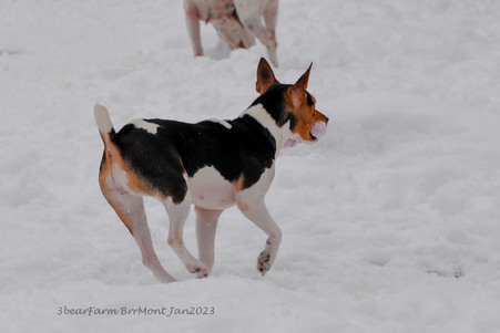 Enlarge photo 435