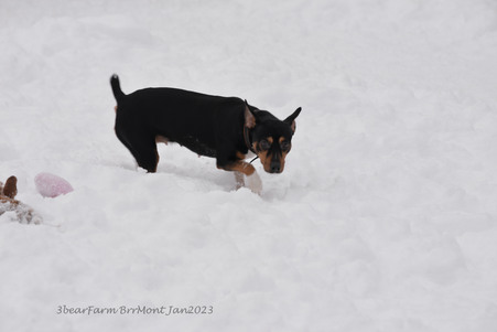 Enlarge photo 433