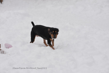 Enlarge photo 434
