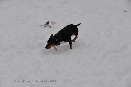 Enlarge photo 432