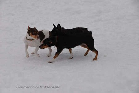 Enlarge photo 429