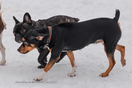 Enlarge photo 428