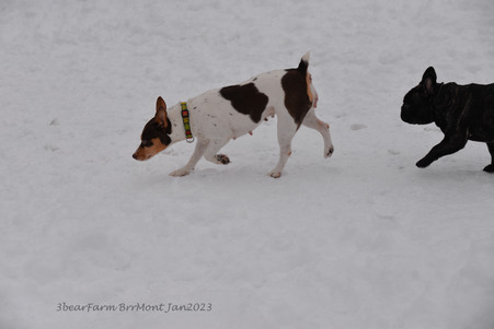 Enlarge photo 426