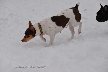 Enlarge photo 427