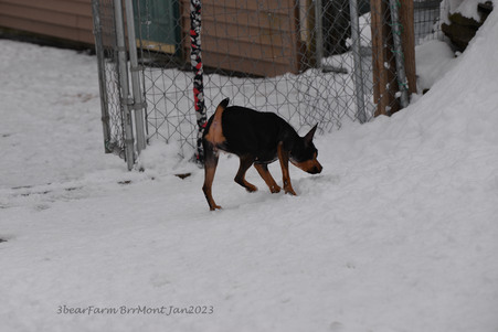 Enlarge photo 424