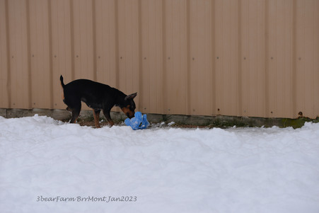 Enlarge photo 423
