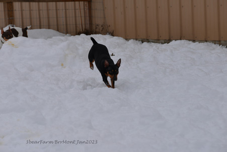 Enlarge photo 422