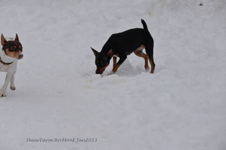 Enlarge photo 418