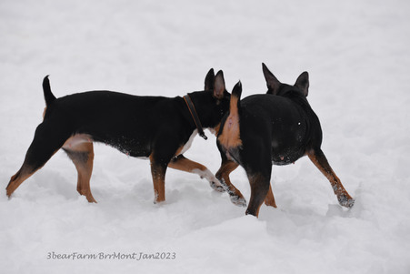 Enlarge photo 413