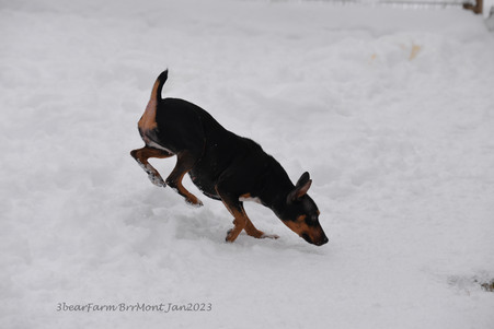 Enlarge photo 412
