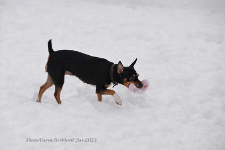 Enlarge photo 411