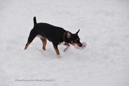 Enlarge photo 410