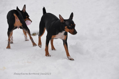 Enlarge photo 406