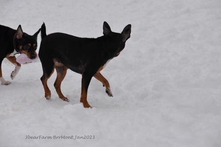 Enlarge photo 404