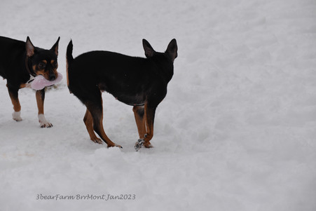 Enlarge photo 403