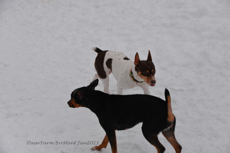 Enlarge photo 393