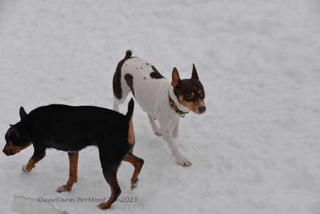 Enlarge photo 394