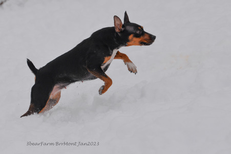 Enlarge photo 382