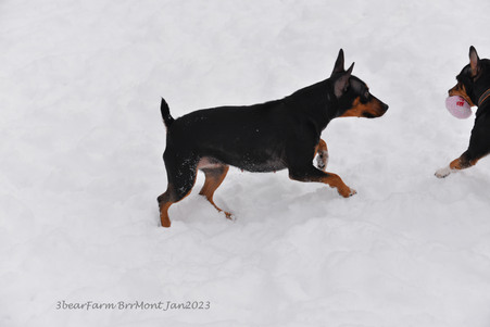 Enlarge photo 364