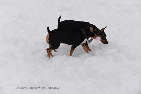 Enlarge photo 362