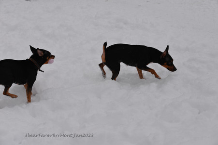 Enlarge photo 357