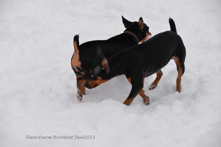 Enlarge photo 356
