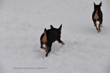 Enlarge photo 354