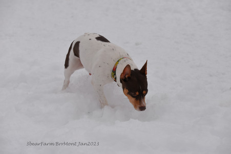 Enlarge photo 353