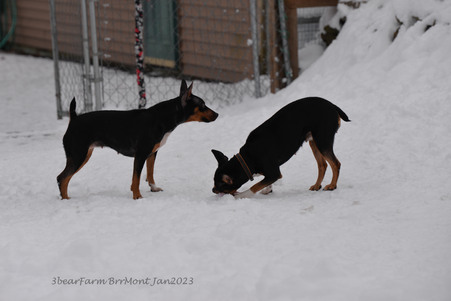 Enlarge photo 352