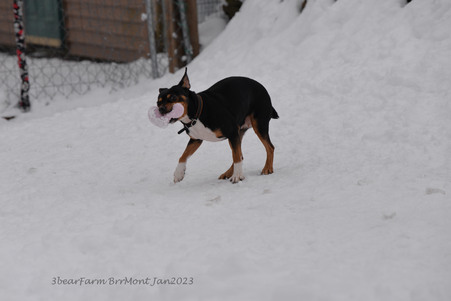 Enlarge photo 351