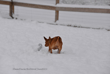 Enlarge photo 328