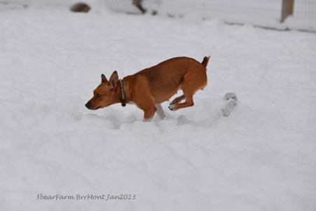 Enlarge photo 327