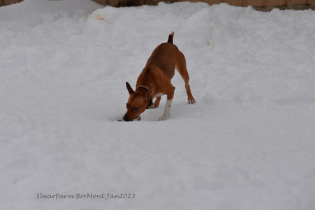 Enlarge photo 326