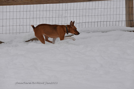 Enlarge photo 324