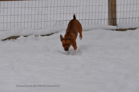 Enlarge photo 323